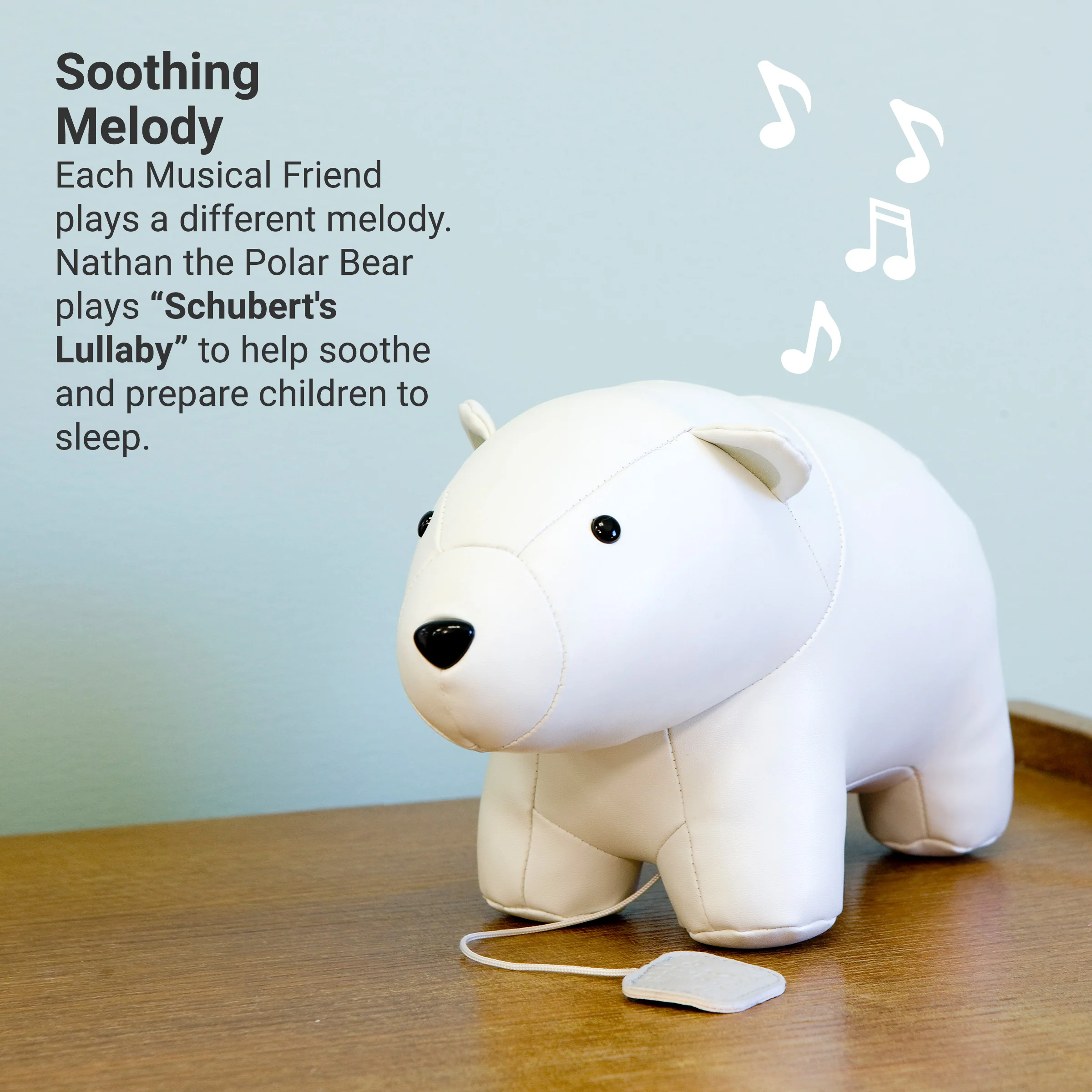 Product image 51