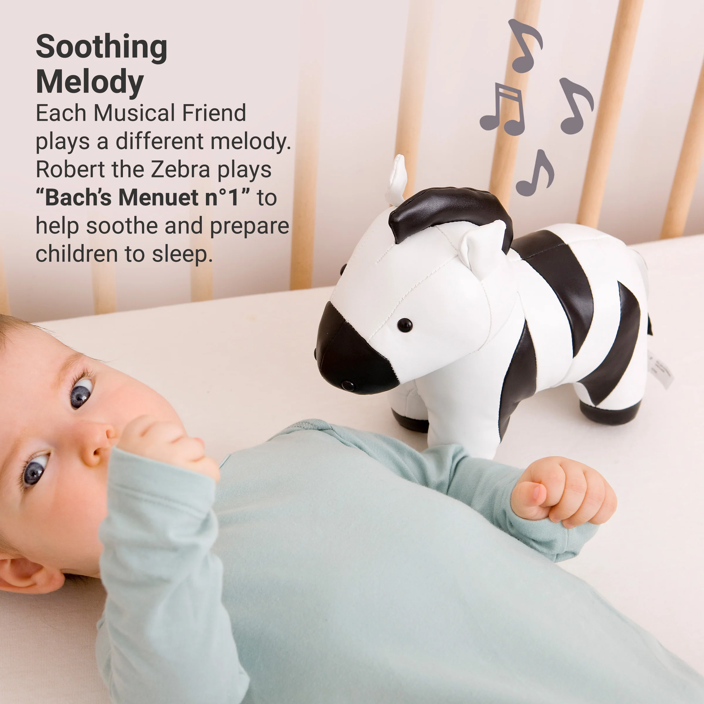 Product image 76